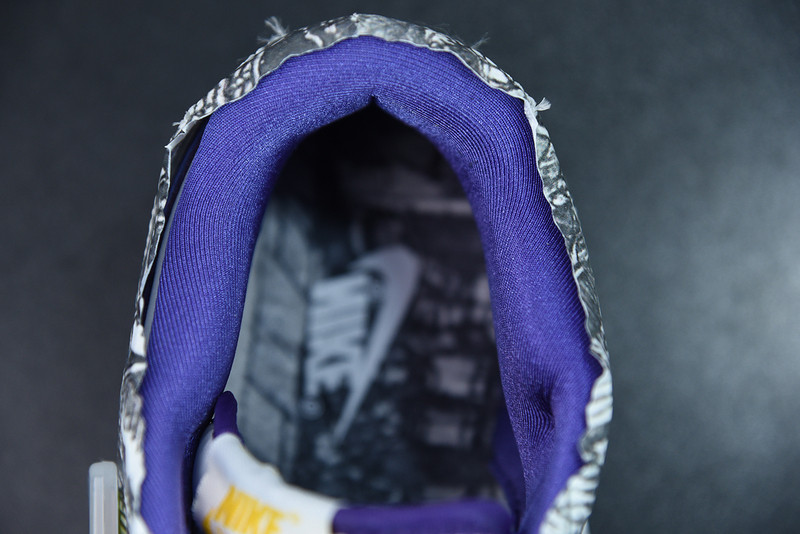 nike sb dunk low “flip the old school” dj4636-100