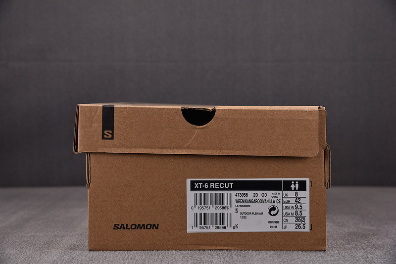 salomon xt-6 advanced