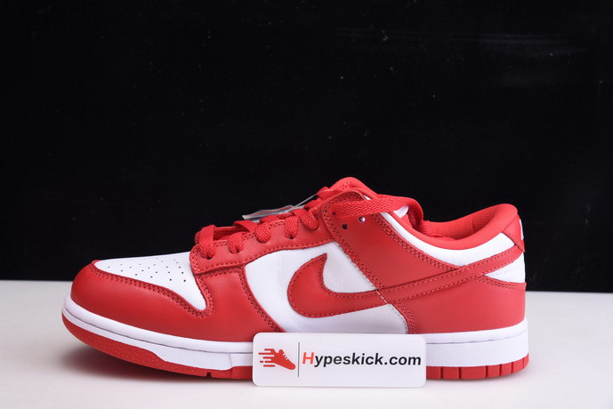 nike dunk low retro sp 